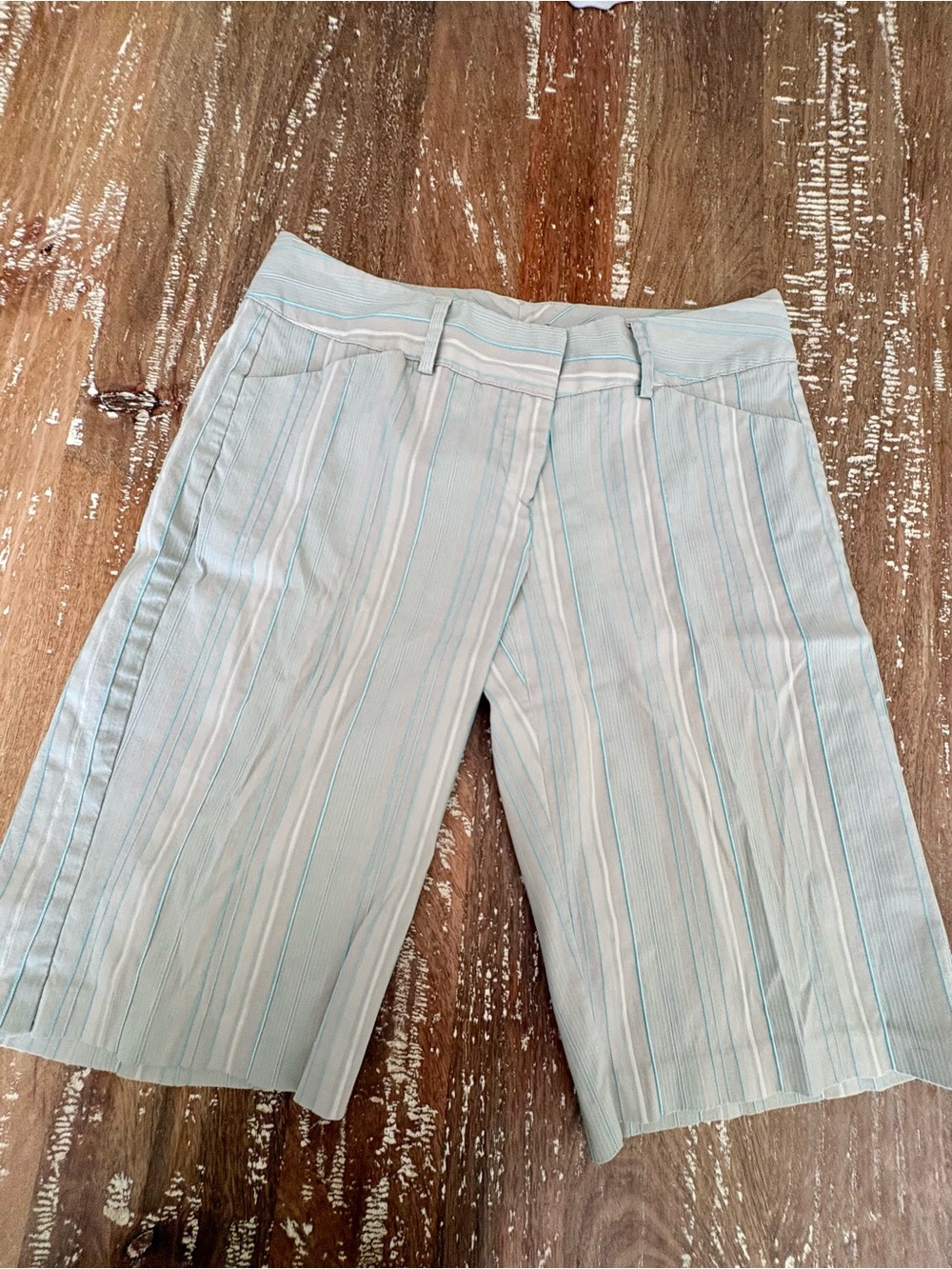 Takara Light Blue and Cream Striped Shorts